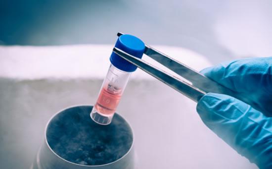 《人胚胎干细胞》是中国乃至国际首个针对胚胎干细胞的产品标准