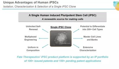 改变游戏规则:iPSC来源的CAR-NK疗法获批临床,应对CAR-T复发和成本挑战