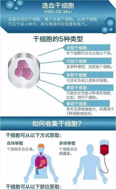 【科普】一张图看懂干细胞抗衰老