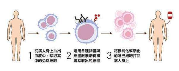 香港卫生署对干细胞治疗的管理政策