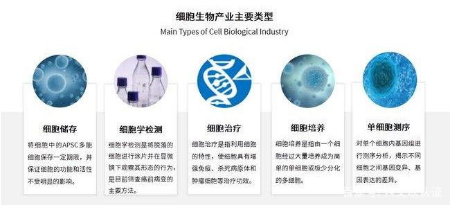 干细胞治疗产品,从实验室到上市还有多远?