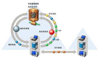 信息存储技术的信息存储技术的三大支柱